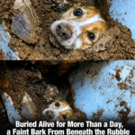 For More Than 24 Hours, He Was Buried in Darkness image