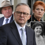 Barnaby Joyce backs Hanson’s public housing argument as Albanese family row escalates image